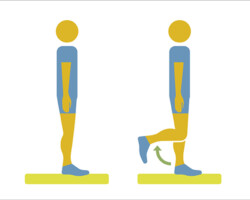 Balance and Fall Prevention